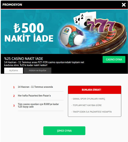 youwin casino kayıp bonusu